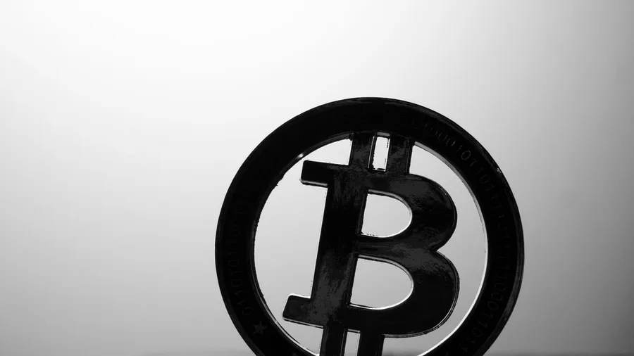 Charles Hoskinson outlines crypto's future role in AI